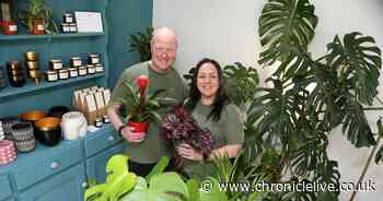 New boutique plant shop specialising in houseplants and rare species opens in Walker