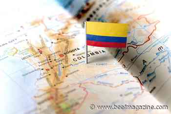 Colombia Butcher Shop Program increases presence of U.S. pork, beef