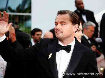 On sait ce que signifiait la broche que portait Leonardo DiCaprio sur le tapis rouge du film de Martin Scorsese