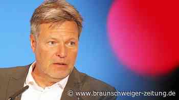Neuer Habeck-Ärger: Vorwürfe gegen nächsten Top-Mitarbeiter