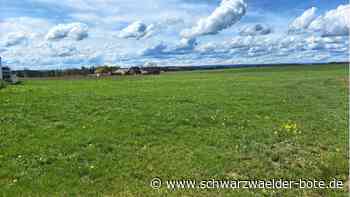 Ersatz ist gefunden: Bolzplatz  in Vollmaringen wird neu angelegt