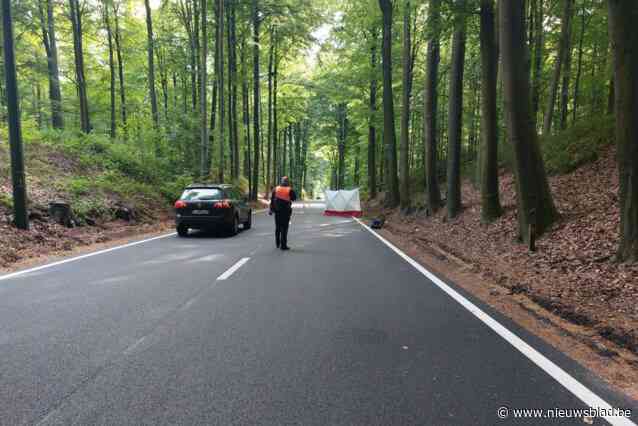 Vrouw (30) die achter stuur zat tijdens dodelijke aanrijding, stapt zelfde dag nog naar politie: “Ze dacht dat een tak op haar wagen viel”