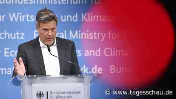 Habeck hofft auf Einführung von Industriestrompreis bis Frühjahr 2024
