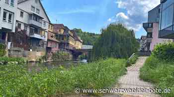 Nagoldufer in Calw: Blumen und Sitze statt Hundekot und Müll