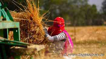 Studie zu Erderwärmung: Die "Klima-Nische" wird kleiner