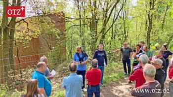 Jenaer Bürger kritisieren Waldrodung „durch die Hintertür“