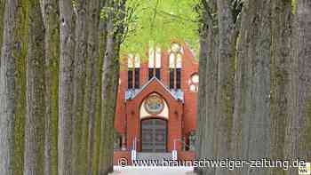 Die Peiner Alleen – deshalb sind sie so wichtig