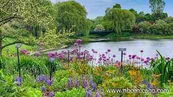 Chicago Suburb Named Most Expensive Neighborhood in Illinois in New Ranking