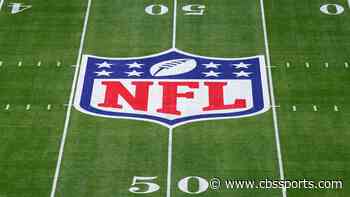 NFL owners approve bylaw allowing teams to have third quarterback on game day without using active roster spot