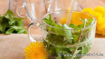 Fettleber natürlich vorbeugen: Trinken Sie Löwenzahn- oder Artischocken-Tee