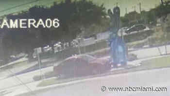 Man Crashes Into Wilton Manors Rabbit Statue, Admits to Multiple Vandalisms: Police