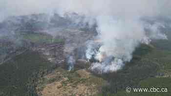 Heavy rainfall expected in western Alberta as wildfire battle continues