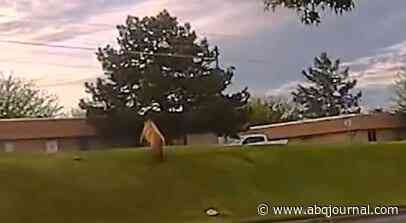 Bear spotted roaming the streets of New Mexico town