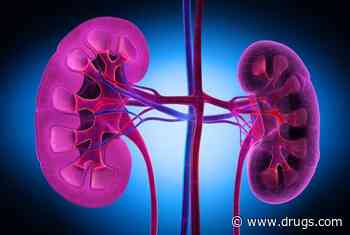 Screening Adults for CKD Could Be Cost-Effective
