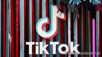 3 Creator to watch: Diese TikToker haben im April besonders gut performt