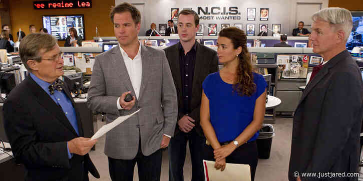 'NCIS' Stars Explain the Reason Why They Left The Show (Including Boredom & an On-Set Feud)