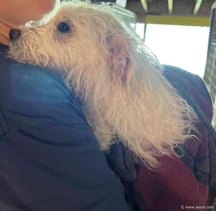 Humane Society of Noble County takes in 14 dogs from 'bad situation'