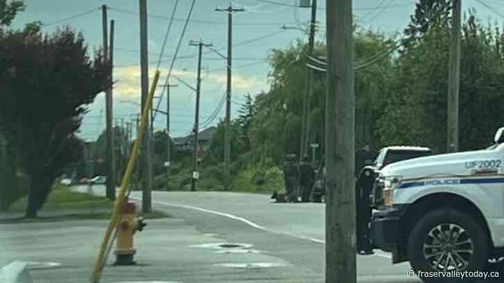 Knight Road in Chilliwack blocked while police incident underway
