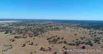 Grazing country with major carbon project in place
