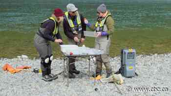 Reclaiming B.C.'s waterways from mining pollution
