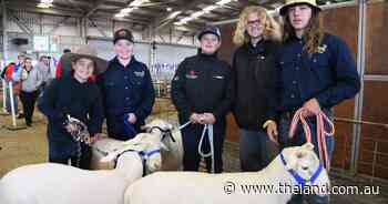 Mega gallery from the 2023 Dubbo Show