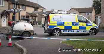 Tragedy as girl, 3, killed by Hermes delivery van outside gran's home