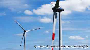 Branchenverband fordert mehr Tempo bei Windkraft