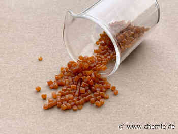 Bioökonomie Startup traceless erhält Millionenförderung des Bundesumweltministeriums