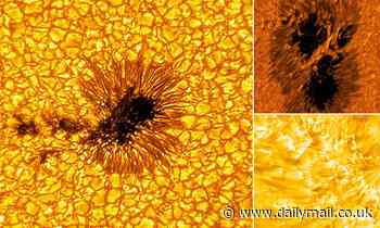 Stunning new photos of the SUN show fiery plasma flowing from a honeycomb-like pattern of pores