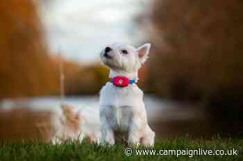 ITV adds dog care company PitPat to Media for Equity portfolio