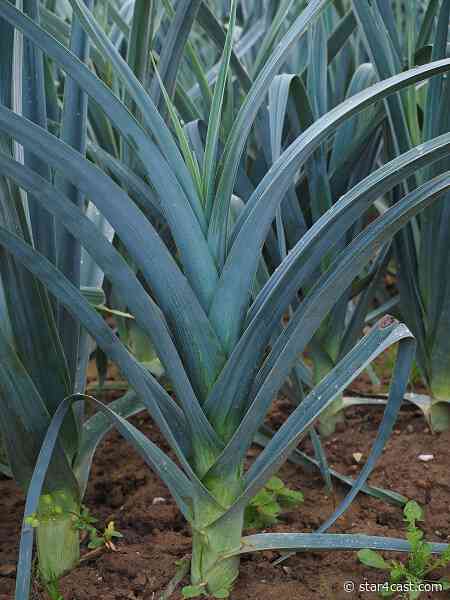 Wales – the wrong sort of headlines