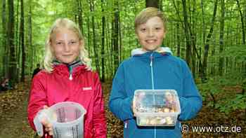 Tautenburger Forst wird zum Lernort