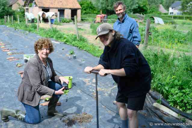 Minister Petra De Sutter helpt op zorgboerderij en steunt zo jongeren: “Eens er pompoenen zijn, wil ik er eentje op mijn kabinet”