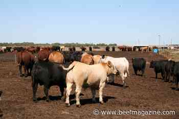 Expect changes in the use of growth-promoting implants