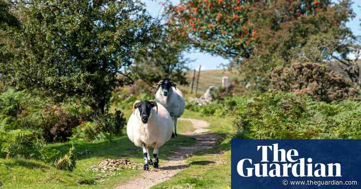 King Charles and Prince William face fight over taxpayer funds on Dartmoor