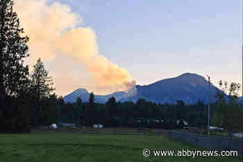 Forest fire near Davis Lake under control