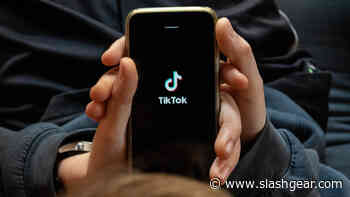 TikTok Files Lawsuit Against Montana, Calls State Ban Unconstitutional