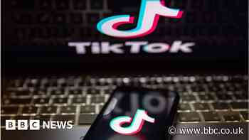 TikTok sues Montana to overturn first US state ban