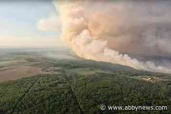 All evacuation orders lifted in northeastern B.C. as rain dampens wildfire threat