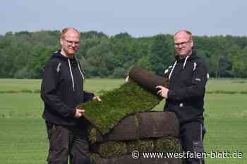 Gütersloher Zwillinge produzieren 500.000 Quadratmeter Rollrasen im Jahr