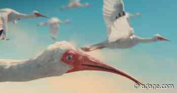 Liquid Death finds a new use for discarded plastic—rogue plastic surgery operations