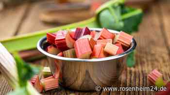 Rot und grün: Welchen geschmacklichen Unterschied haben die verschiedenen Rhabarbersorten?
