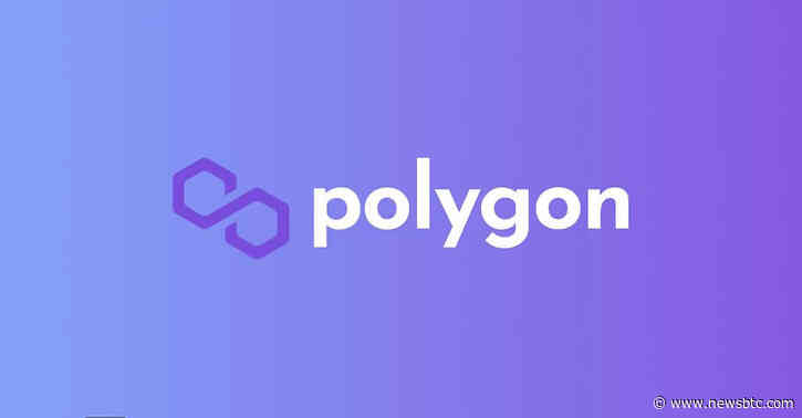 Here’s What The Metrics Say About Polygon’s (MATIC) Uptrend
