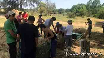 Appia Antica, in vendita 40 ettari di parco: c’è anche la sede della onlus Ciampacavallo