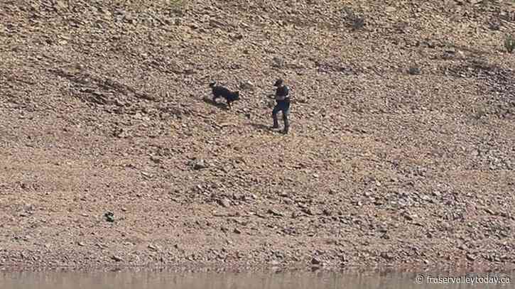 Police in Portugal resume search for Madeleine McCann, British child missing since 2007