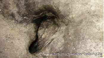 Von Speeren bis Fußabdrücken – spektakuläre Funde am Paläon