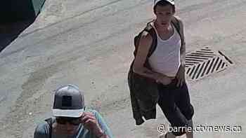 Purses containing $10K worth of rings snatched from Midland Dollarama