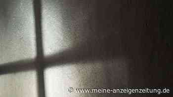 Katholische Kirche in Illinois: Fast 2000 Kinder missbraucht