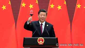 'The backbone of a new world order': How is Xi Jinping's signature policy to shake US global influence going?