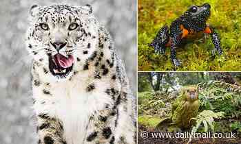 Extinction risks faced by nearly half Earth's species, says new study